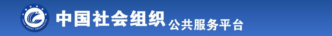 啊啊湿湿嗯全国社会组织信息查询